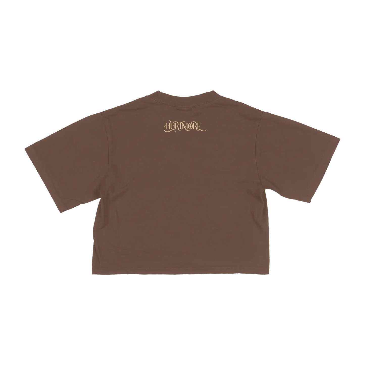 HURTMORE Brown Crop Top - HurtingPeace