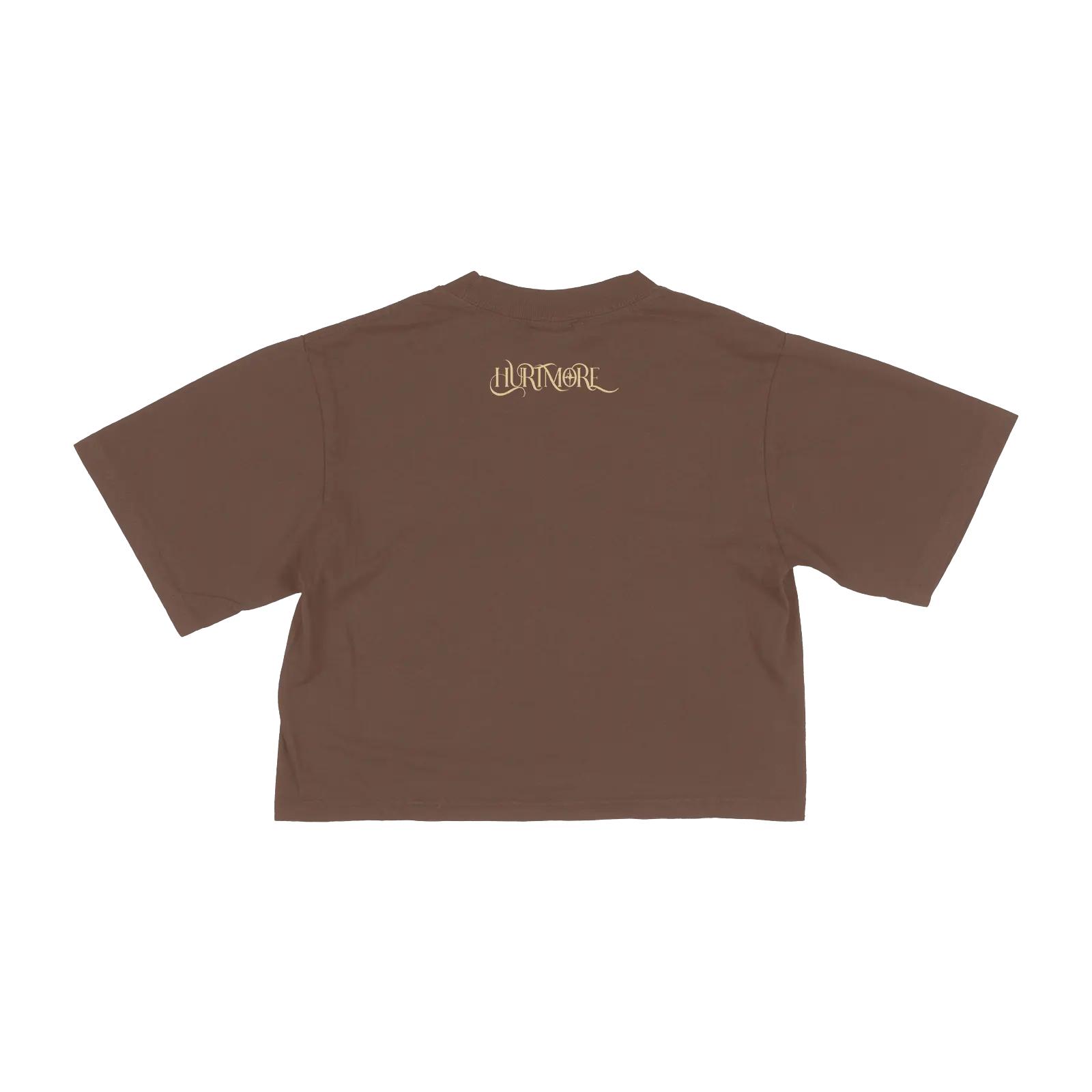 HURTMORE Brown Crop Top - HurtingPeace